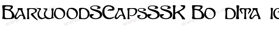 BarwoodSCapsSSK BoldItalic字体转换